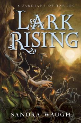 2014-11-03-weekly-book-giveaway-lark-rising-by-sandra-waugh