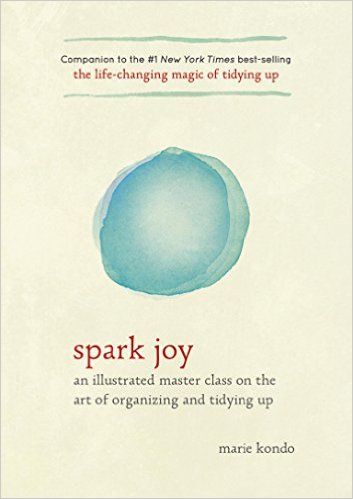 2016-01-05-joy-sparked